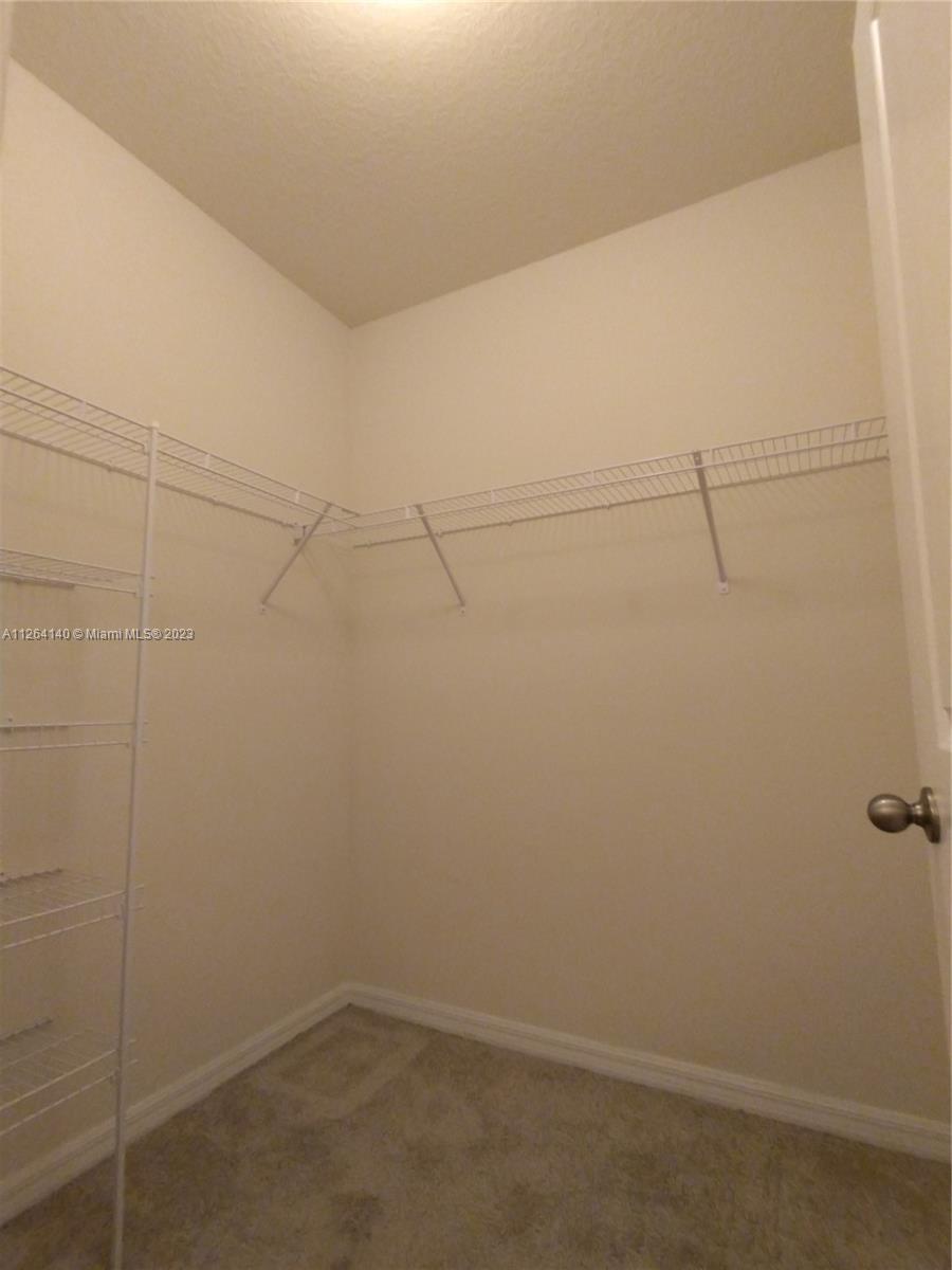 8749 Falling Blue Place Riverview, FL 33578 - Photo 33 of 51 a bathroom with a shower
