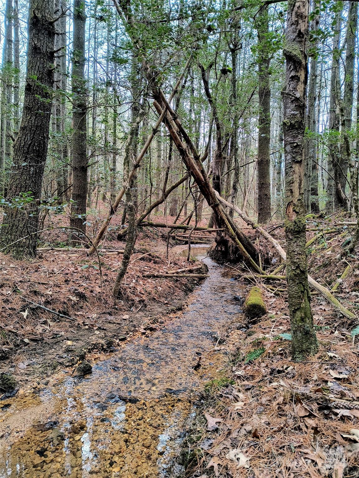 1 81-acres On 1 81-acres On Conroy Ct Unit 86  