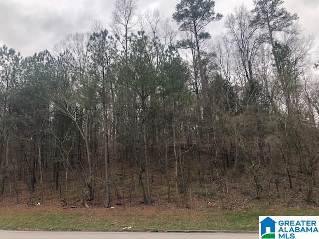 0 Highway 25, Unit 1 Montevallo, AL 35115 - Photo 1 of 3