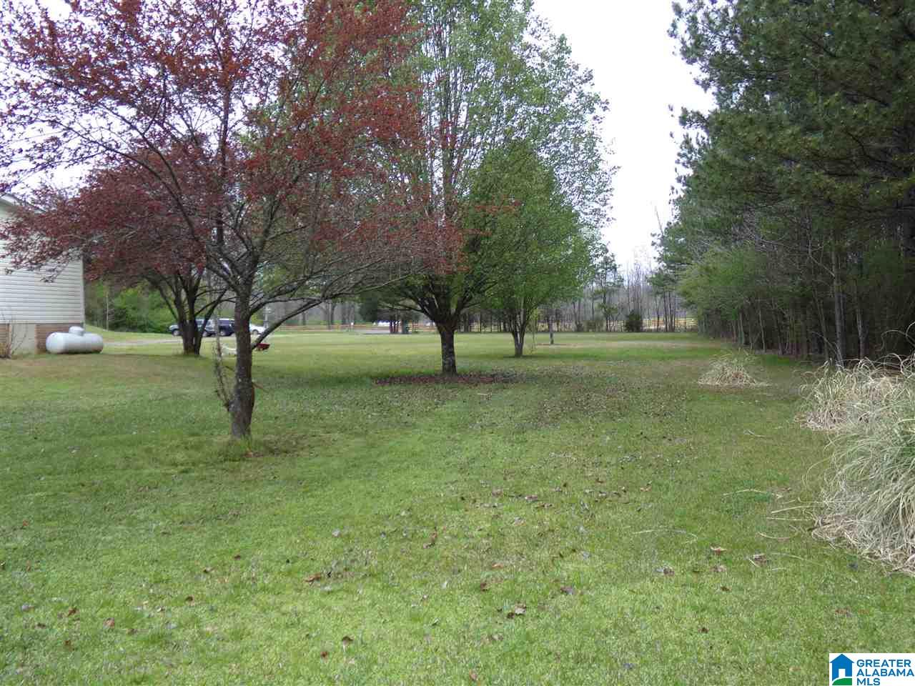 5530 Wolf Creek Road Pell City, AL 35128 - Photo 4 of 41