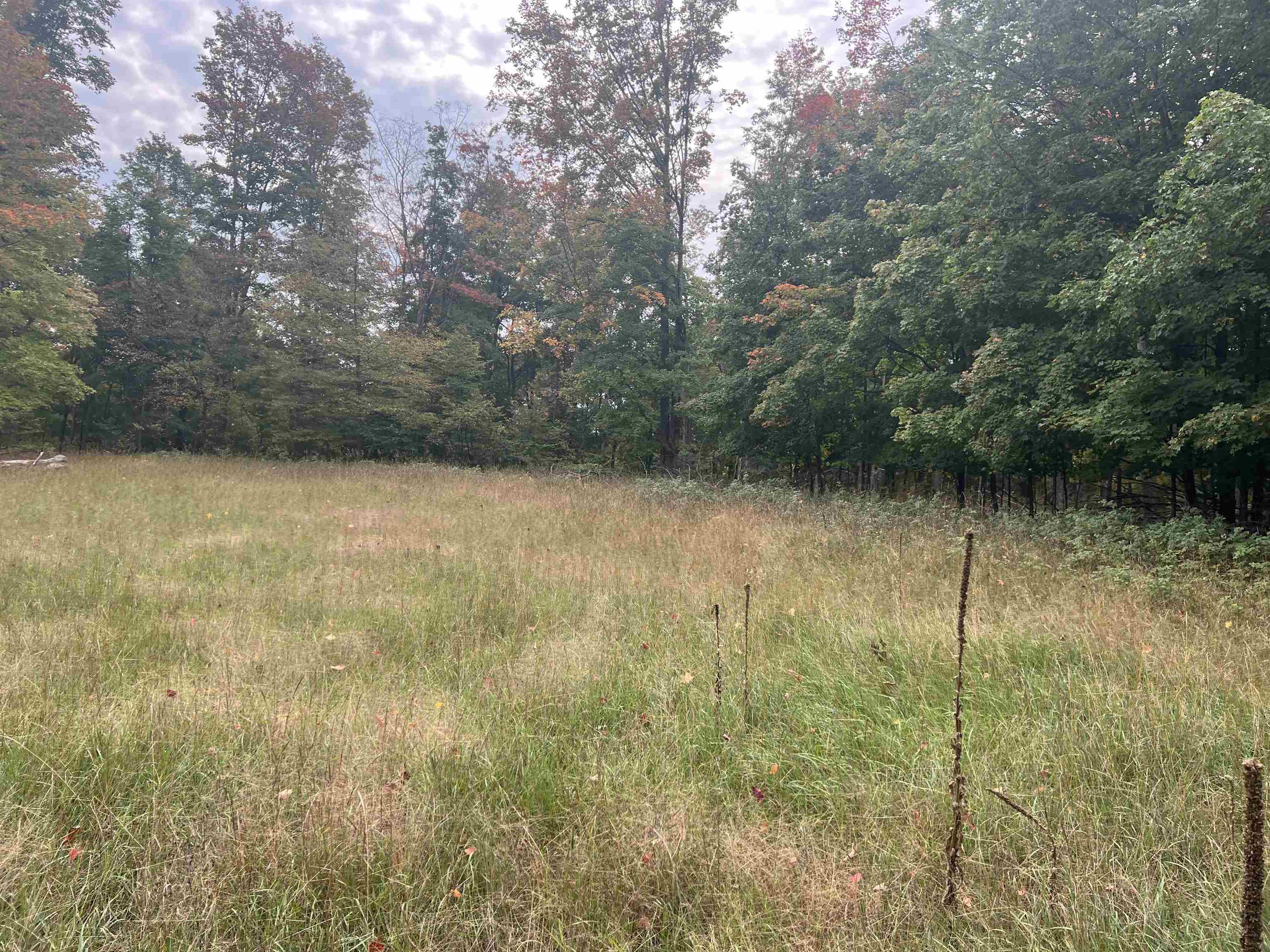 90 A Ridgeview Drive Kalkaska, MI 49646 - Photo 68 of 75