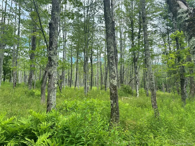 $374,000 | 278 Route 13, Prattsville, NY 12468