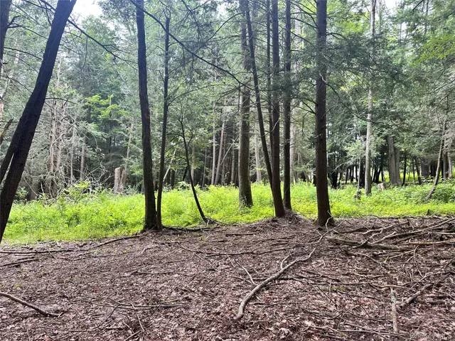 $374,000 | 278 Route 13, Prattsville, NY 12468