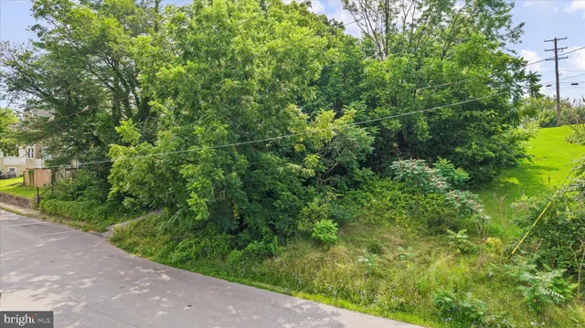 a view of a garden with plants