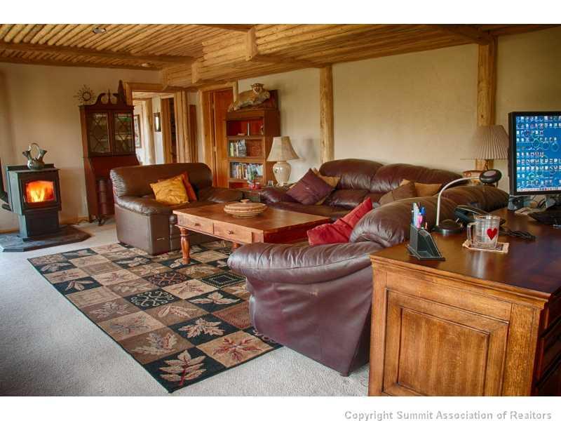 133 Quarry Road Fairplay, CO 80440 - Photo 3 of 21 Gallery Image 3