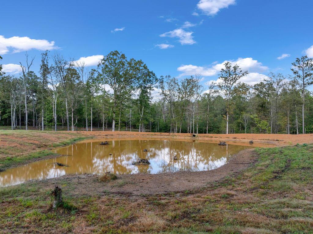 954 Evans Road Jasper, AL 35501 - Photo 12 of 19 DJI_20251021144417_0063_D