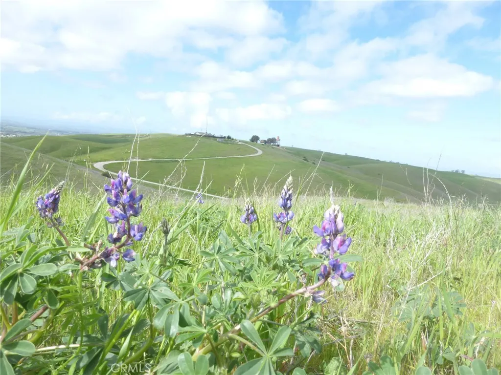 0 Yosemite Place Paso Robles, CA 93446 - Photo 32 of 75