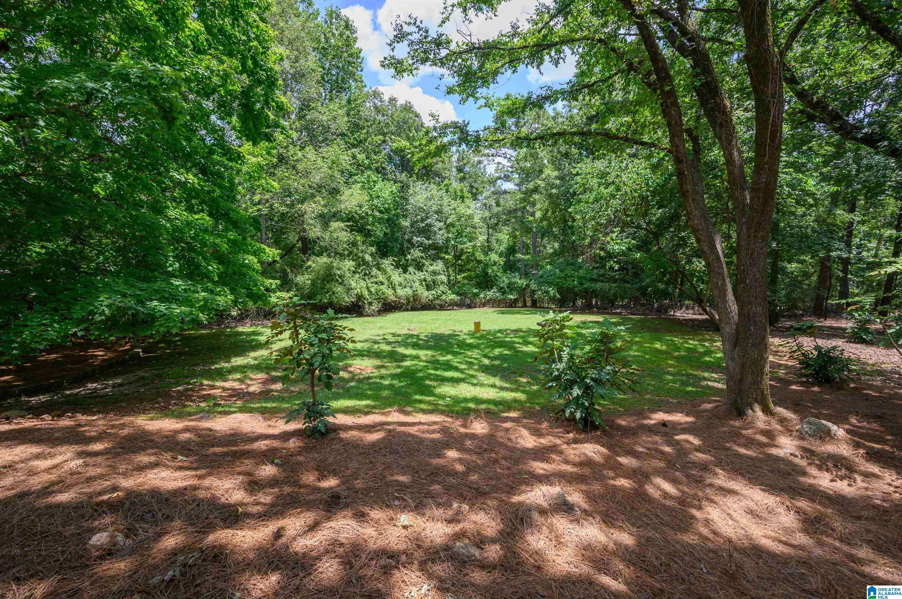 371 Highgate Hill Pelham, AL 35124 - Photo 47 of 48