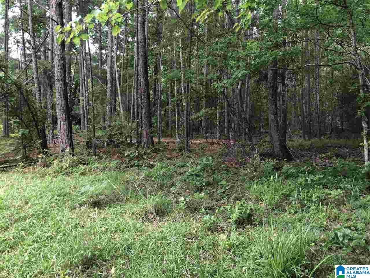 0 Maple Crest Lane Hayden, AL 35079 - Photo 2 of 30