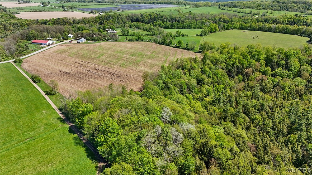 0 Armison Road Fillmore, NY 14735 - Photo 4 of 21