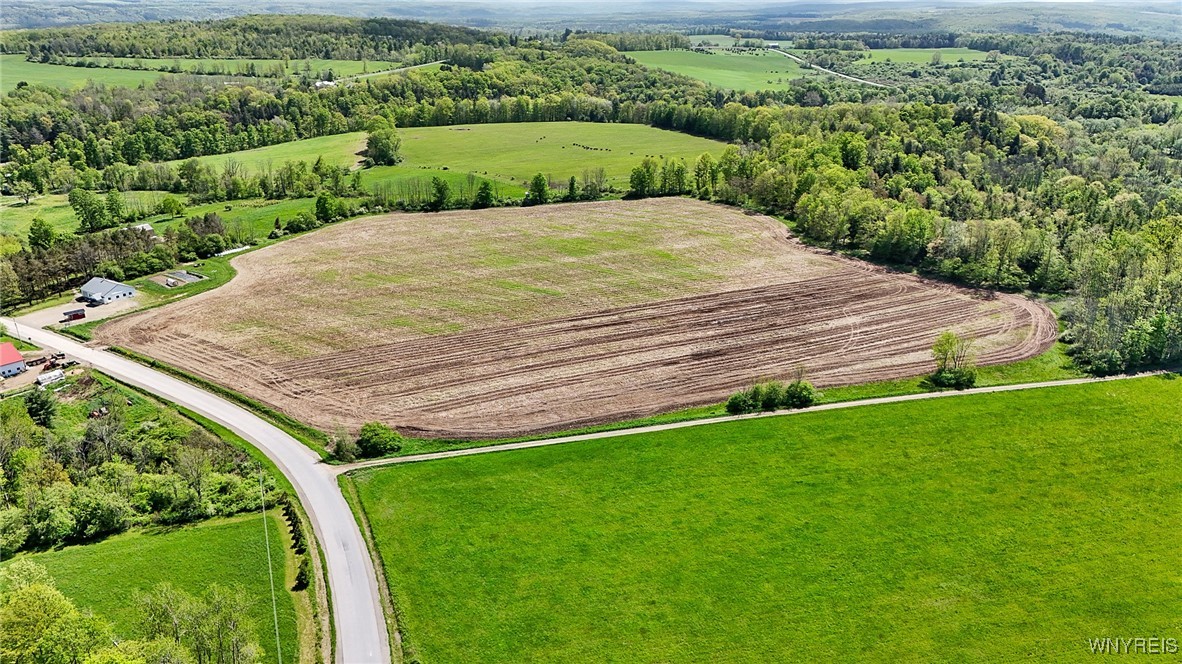 0 Armison Road Fillmore, NY 14735 - Photo 5 of 21