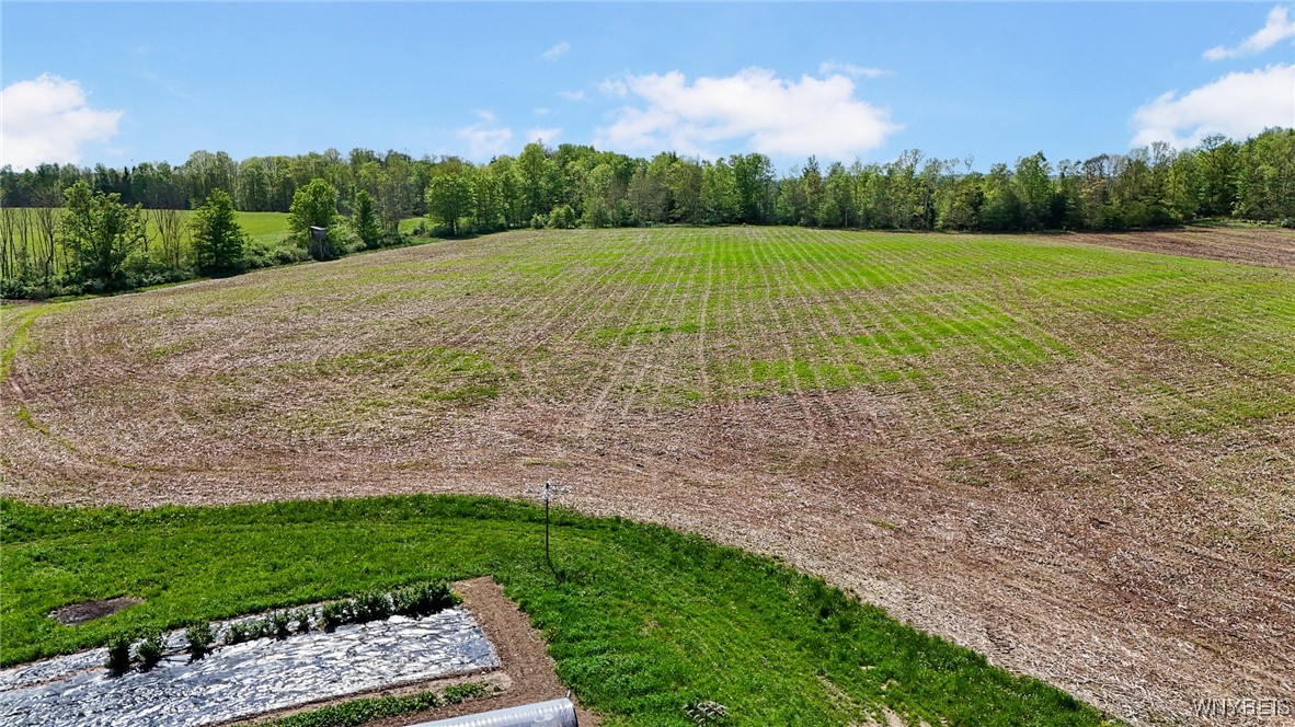 0 Armison Road Fillmore, NY 14735 - Photo 6 of 21