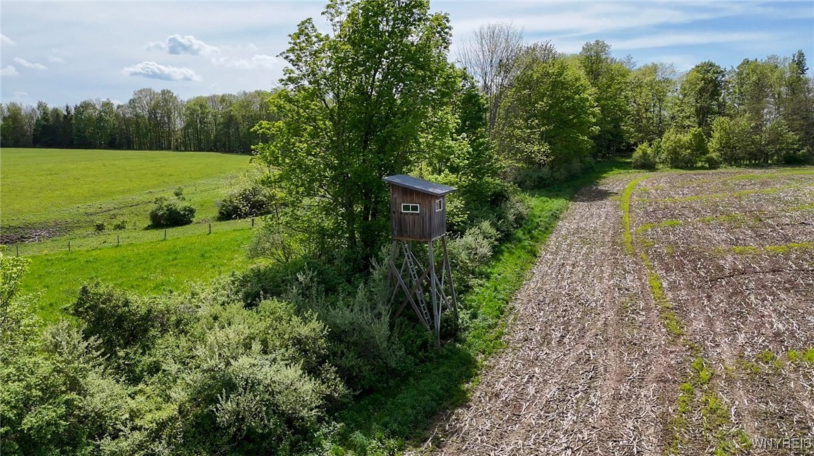 0 Armison Road Fillmore, NY 14735 - Photo 7 of 21