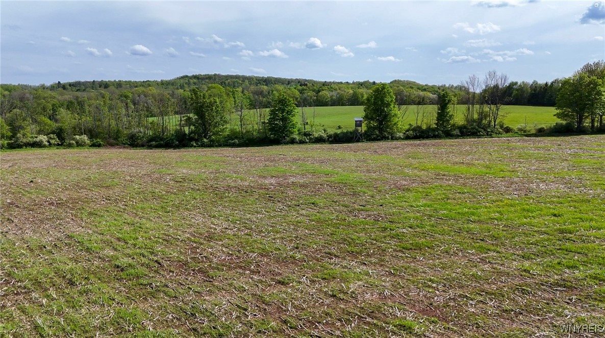 0 Armison Road Fillmore, NY 14735 - Photo 8 of 21