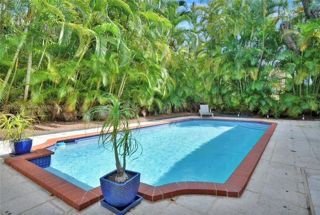 a view of a garden with a chair