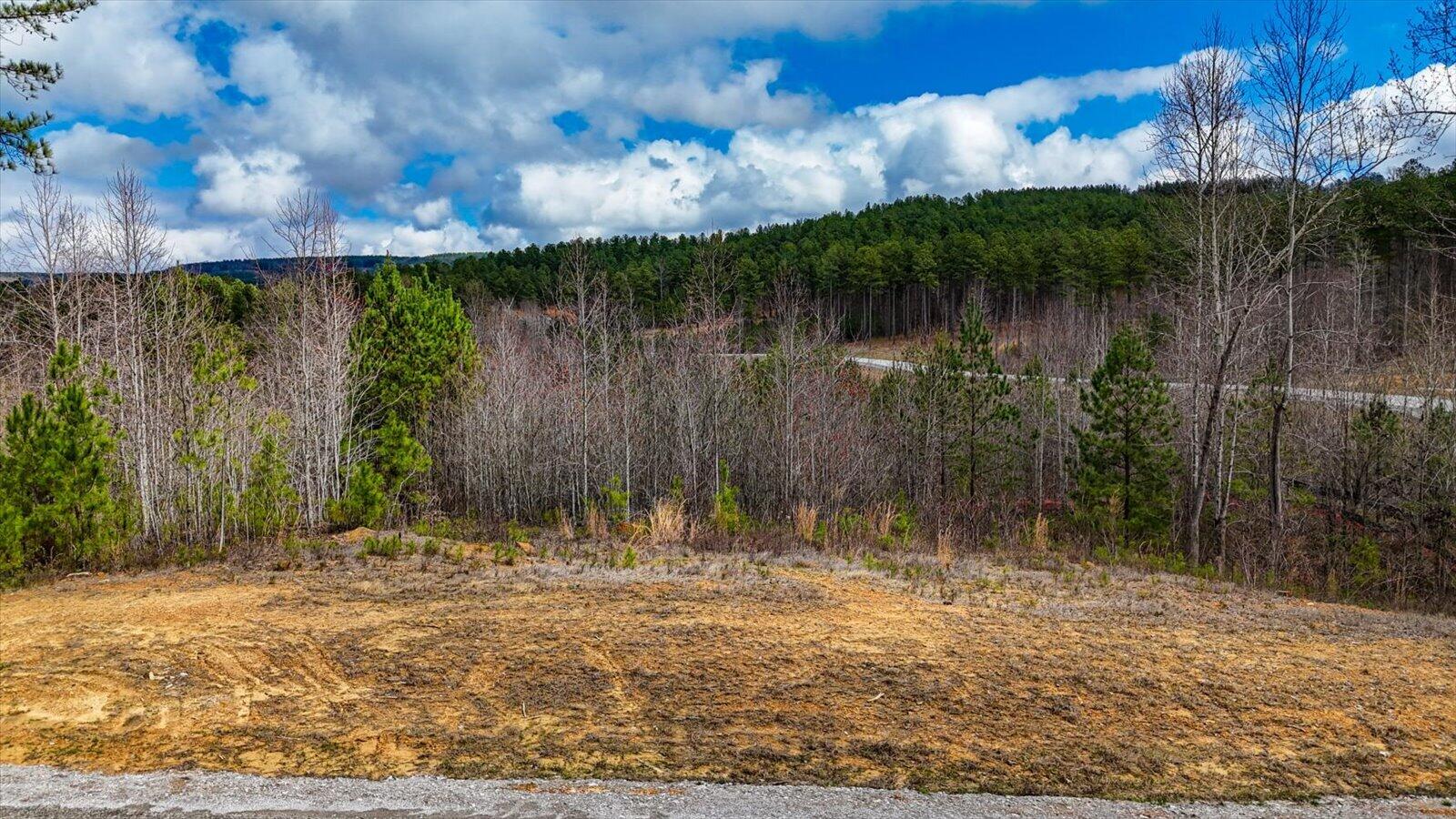0 Birds Eye Way, Unit LOT 1065 Guild, TN 37340 - Photo 11 of 27 05-Birds Eye Way #1065-5