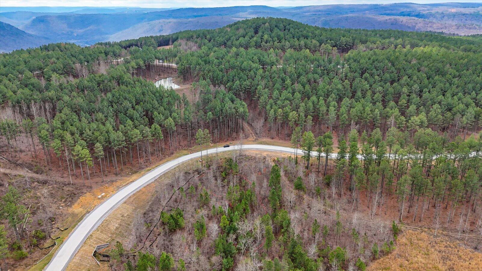 0 Birds Eye Way, Unit LOT 1065 Guild, TN 37340 - Photo 15 of 27 12-Birds Eye Way #1065-12