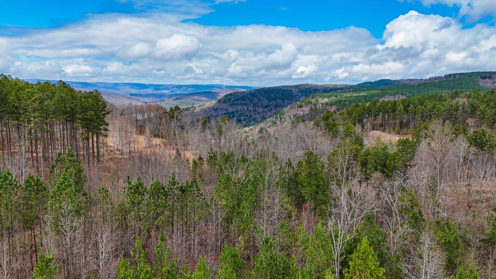 0 Birds Eye Way, Unit LOT 1065 Guild, TN 37340 - Photo 18 of 27 14-Birds Eye Way #1065-14