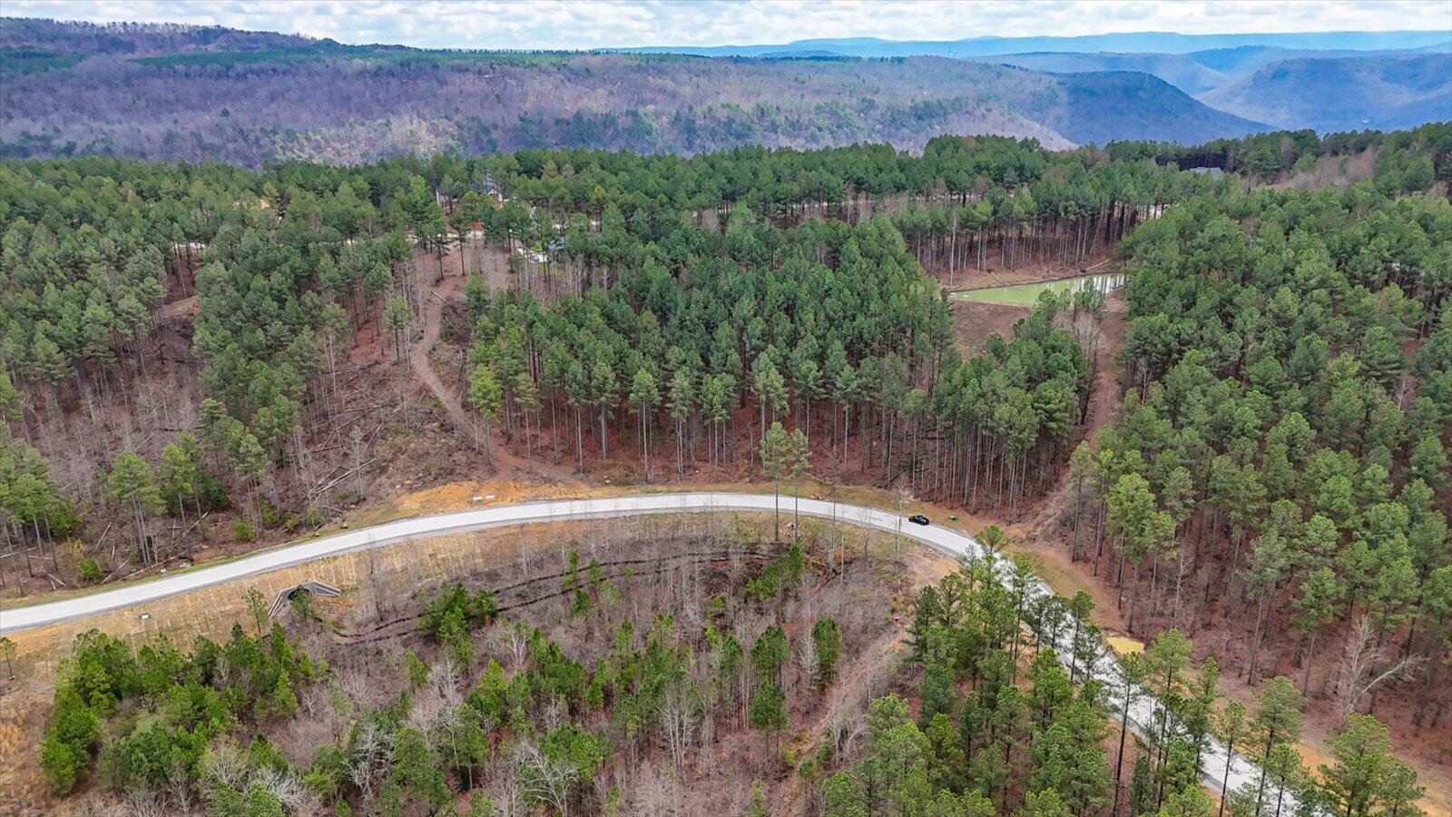 0 Birds Eye Way, Unit LOT 1065 Guild, TN 37340 - Photo 5 of 27 11-Birds Eye Way #1065-11