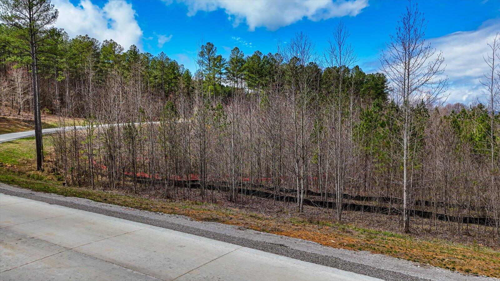 0 Birds Eye Way, Unit LOT 1065 Guild, TN 37340 - Photo 6 of 27 06-Birds Eye Way #1065-6