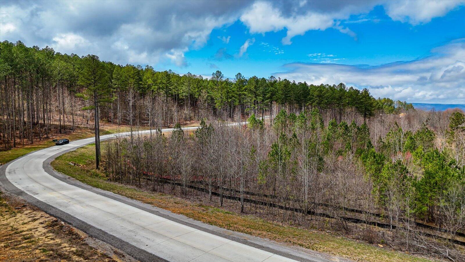 0 Birds Eye Way, Unit LOT 1065 Guild, TN 37340 - Photo 9 of 27 03-Birds Eye Way #1065-3