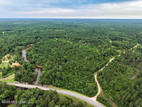 Mcneill Mchenry Road Poplarville, MS 39470 - Photo 14 of 14 1