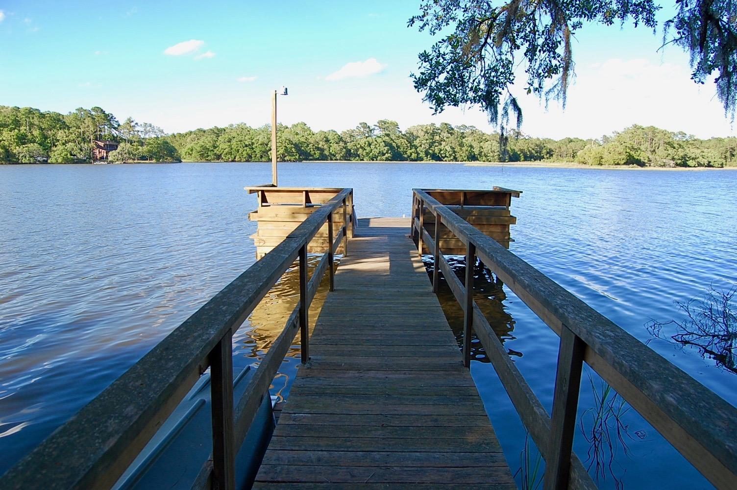 4450 Lord Proprietors Road Meggett, SC 29449 - Photo 1 of 38 DSC_0221