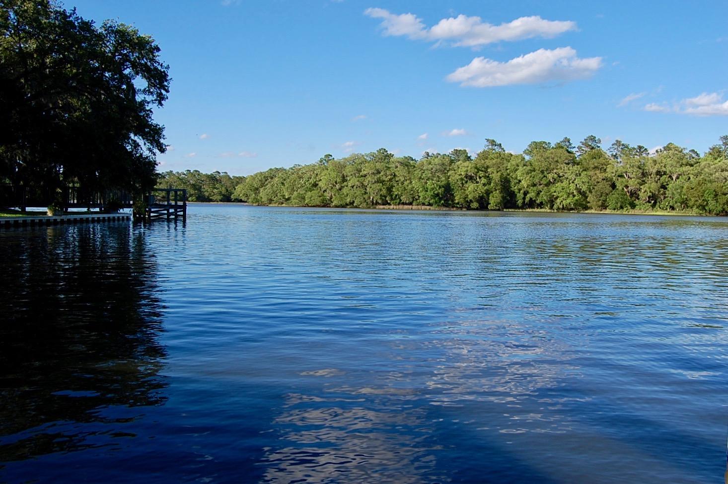 4450 Lord Proprietors Road Meggett, SC 29449 - Photo 3 of 38 DSC_0203
