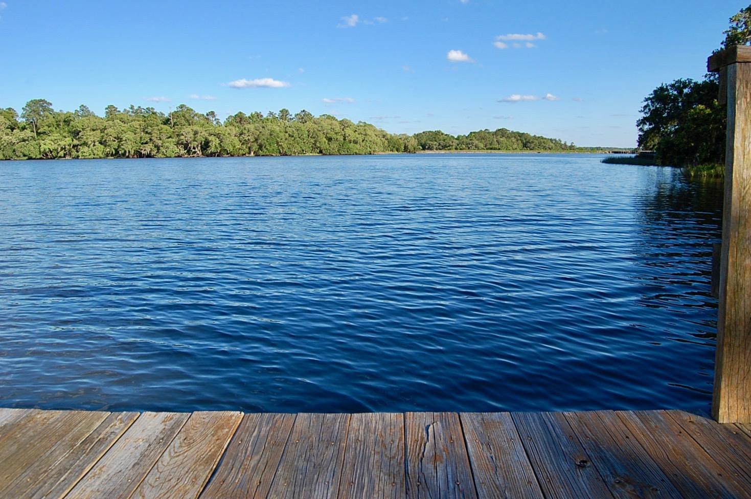 4450 Lord Proprietors Road Meggett, SC 29449 - Photo 28 of 38 DSC_0223