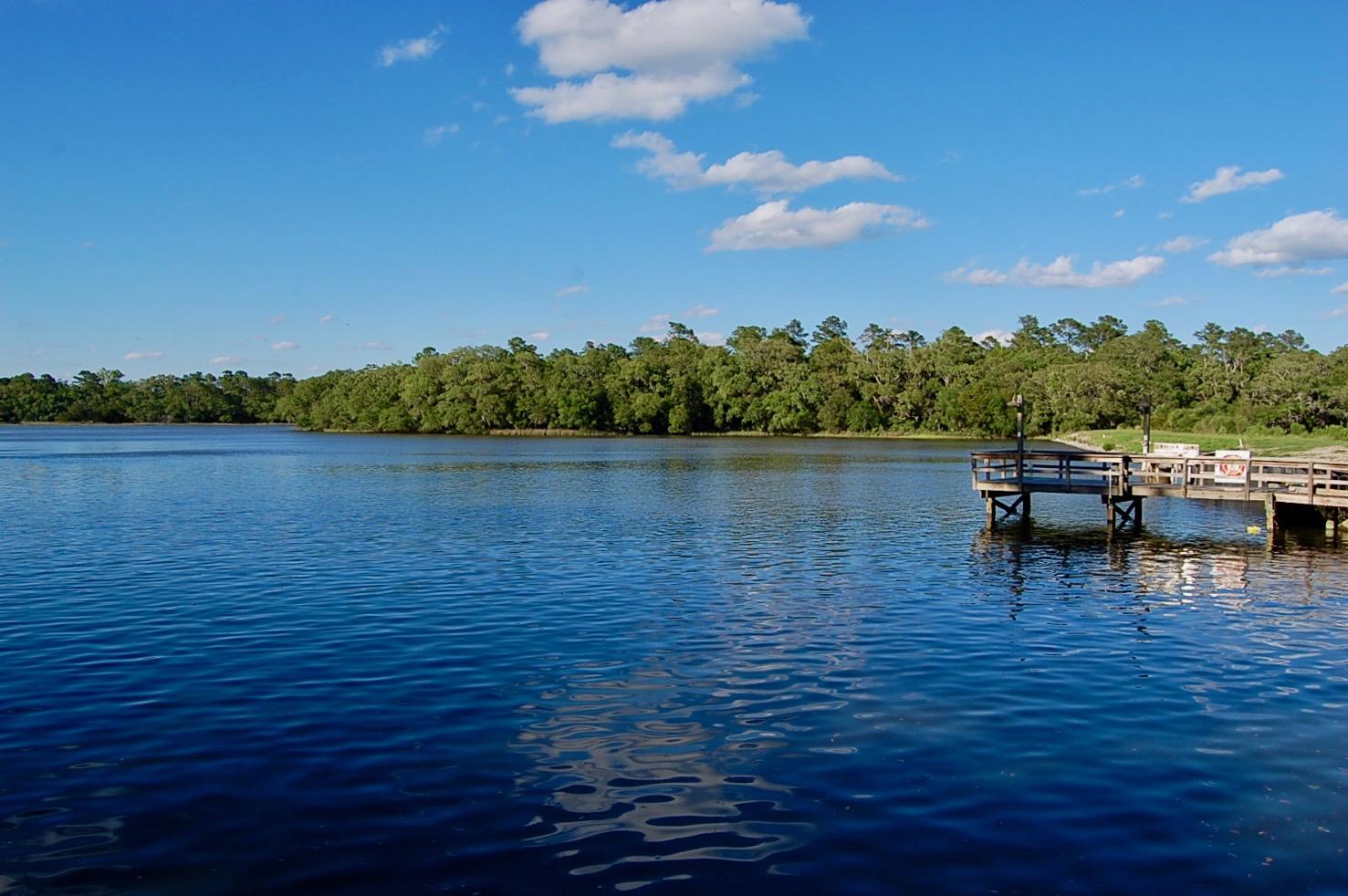 4450 Lord Proprietors Road Meggett, SC 29449 - Photo 5 of 38 DSC_0206