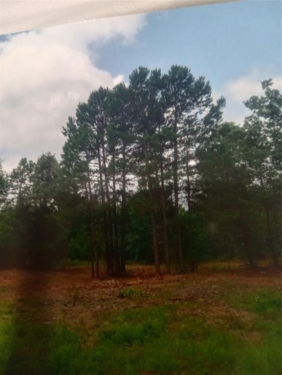 165 County Road Marietta, TX 75566 - Photo 8 of 10 a backyard of a house with lots of green space