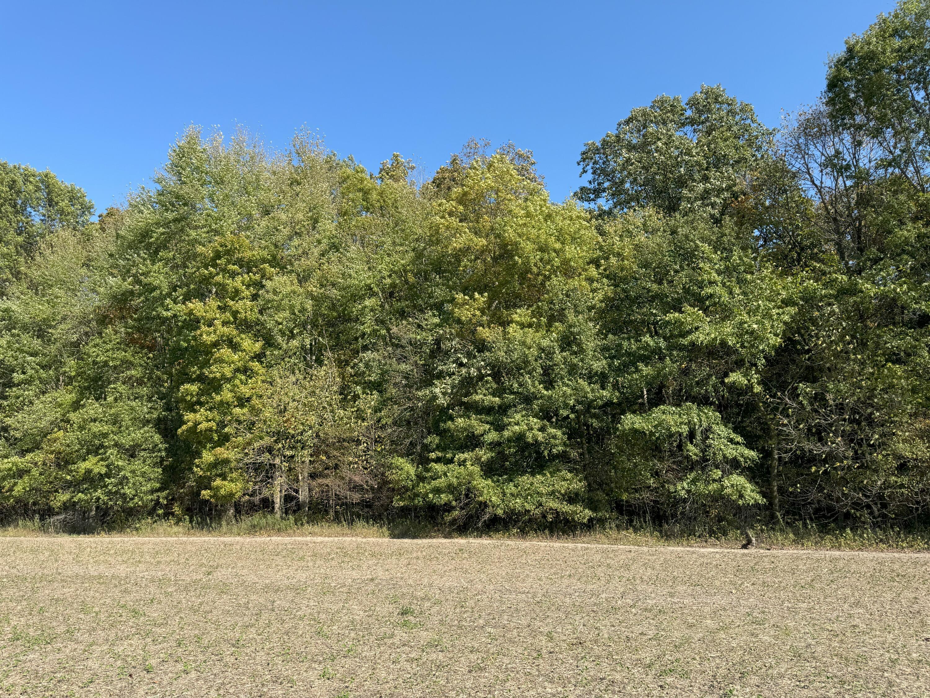 0 Co Road Cardington, OH 43315 - Photo 12 of 12 IMG_0782