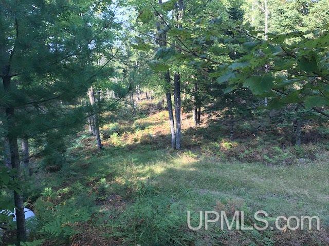 7620 30.5 Road Rapid River, MI 49878 - Photo 27 of 36