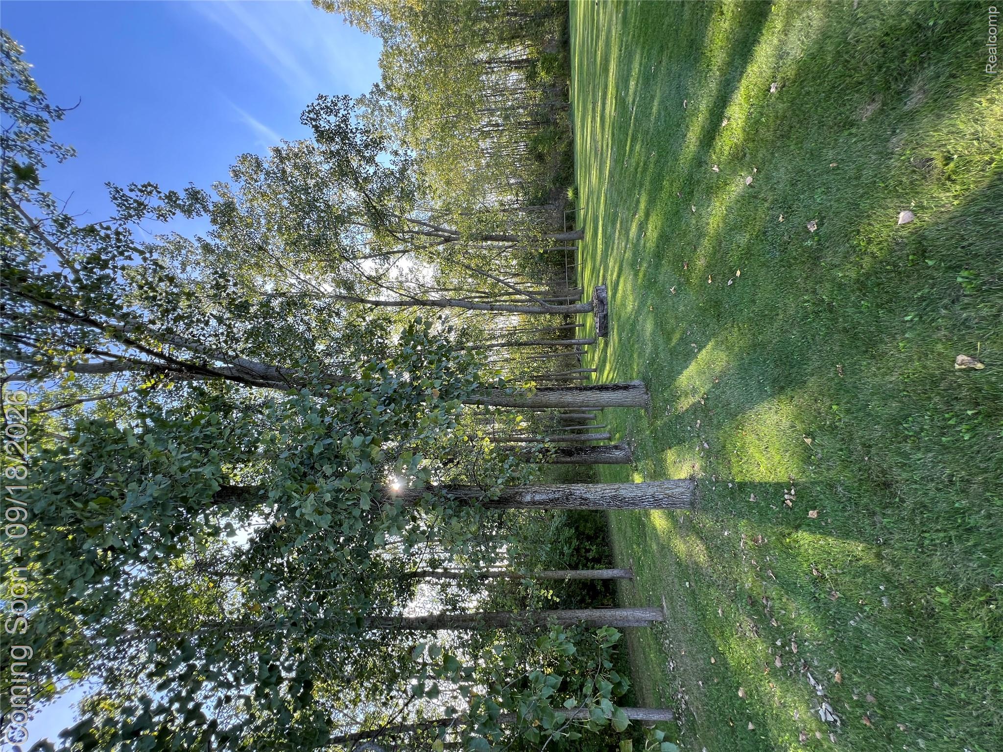 7070 Elms Road Swartz Creek, MI 48473 - Photo 27 of 27 Expansive lawn surrounded by numerous mature trees