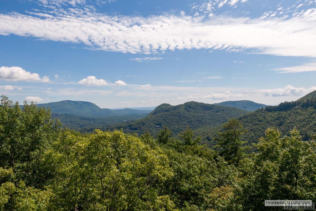 Lot V1 East Ridge Road Sapphire, NC 28774 - Photo 29 of 35 Gallery Image 29