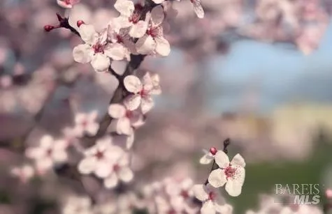 $817,900 | 6083 Oak Leaf Place, Rohnert Park, CA 94928