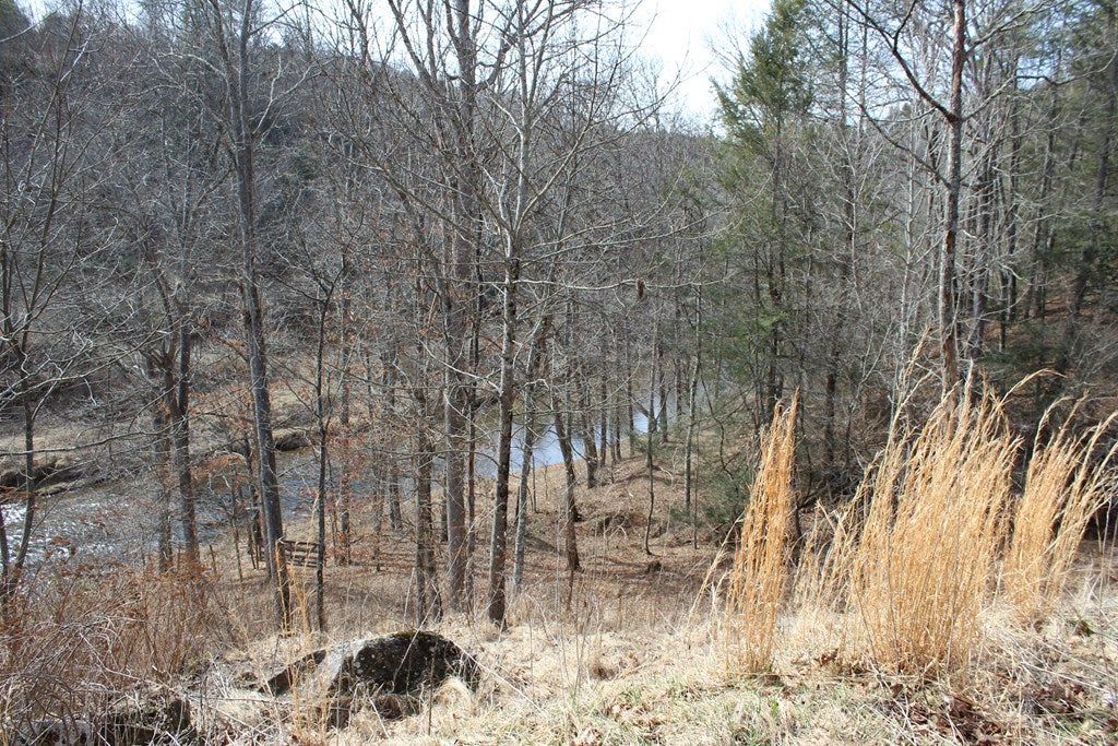 Tbd Pridemoore Road, Unit 2 Galax, VA 24333 - Photo 47 of 72 Gallery Image 47