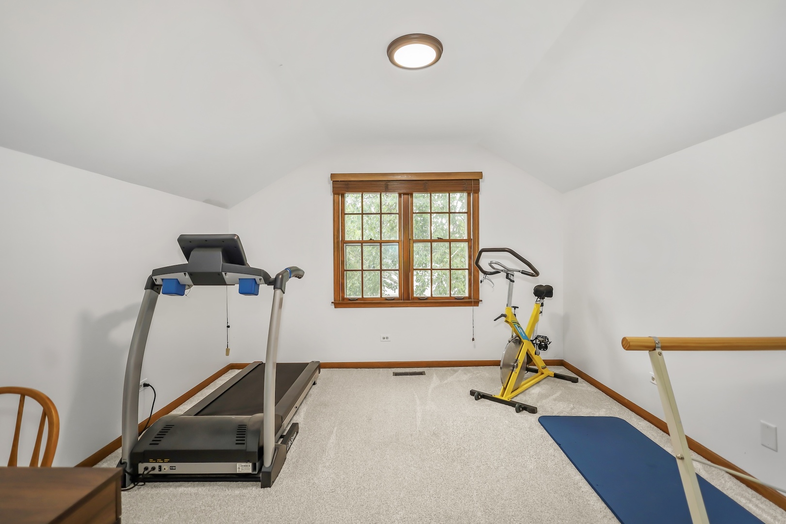 1091 Danforth Drive Batavia, IL 60510 - Photo 21 of 40 a view of a room with gym equipment