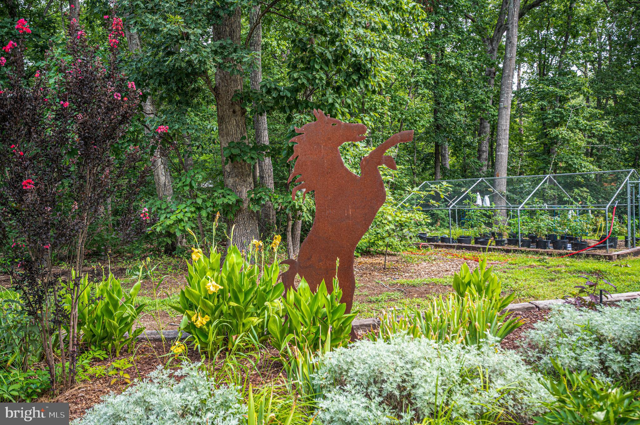 5099 Courtneys Corner Road Sumerduck, VA 22742 - Photo 3 of 69 Gallery Image 3