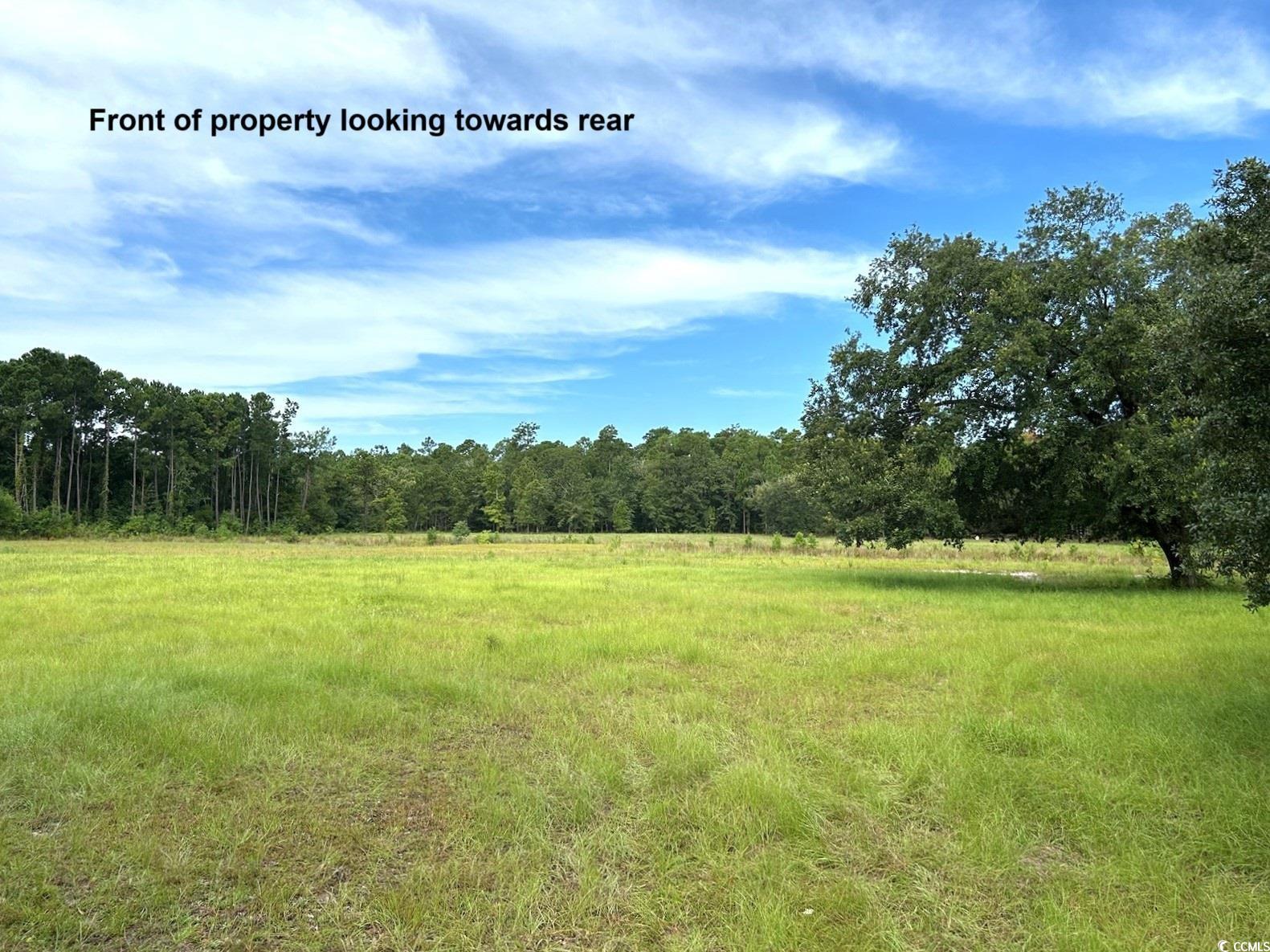 3951 South Fraser Street Georgetown, SC 29440 - Photo 1 of 21 View of local wilderness with a rural view