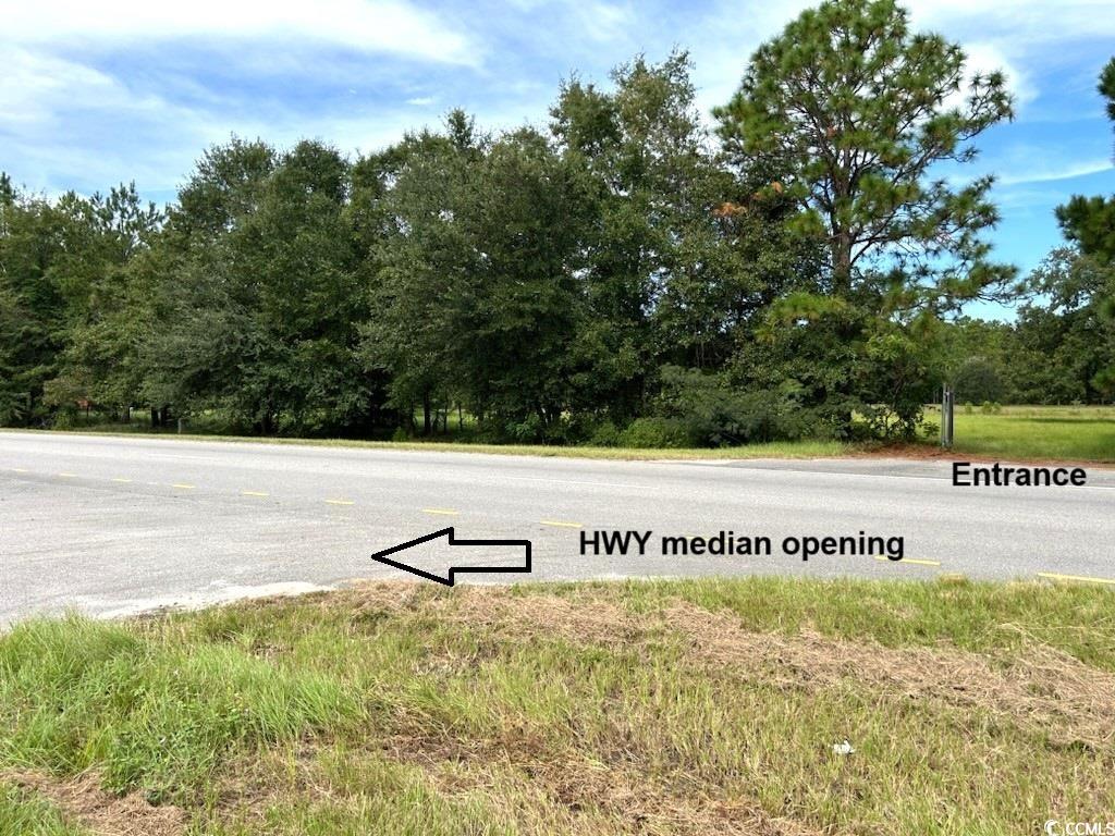 3951 South Fraser Street Georgetown, SC 29440 - Photo 12 of 21 View of road