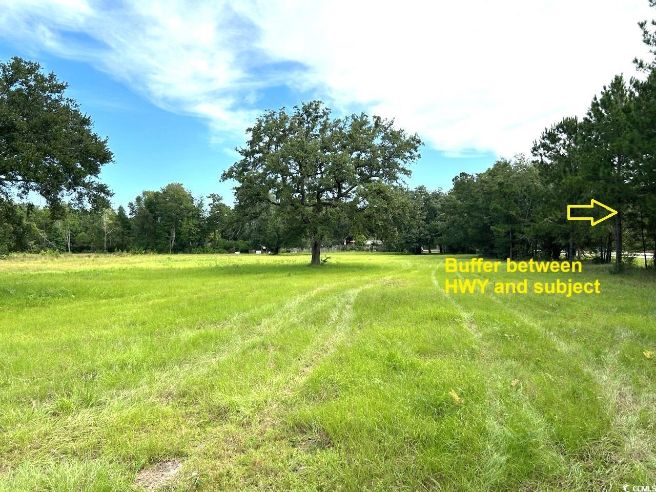 3951 South Fraser Street Georgetown, SC 29440 - Photo 4 of 21 View of yard