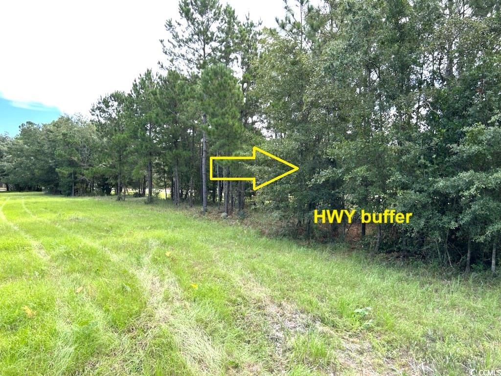 3951 South Fraser Street Georgetown, SC 29440 - Photo 5 of 21 View of yard