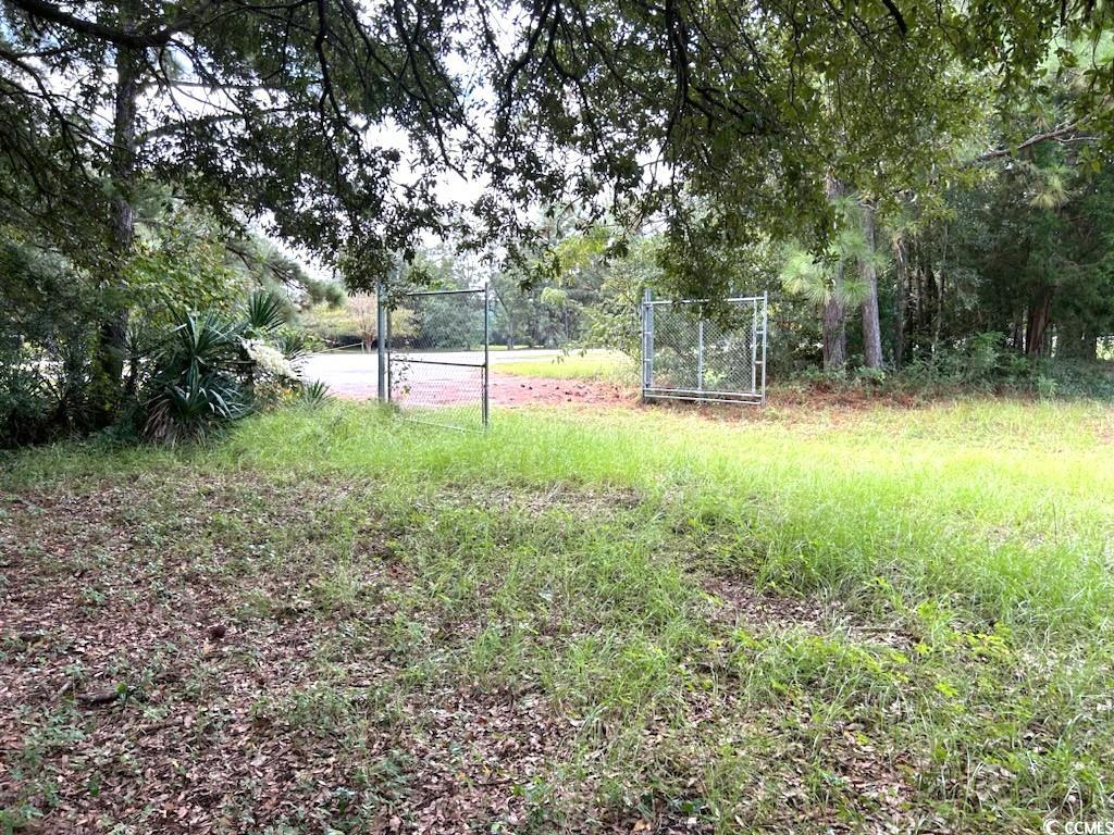 3951 South Fraser Street Georgetown, SC 29440 - Photo 8 of 21 View of yard