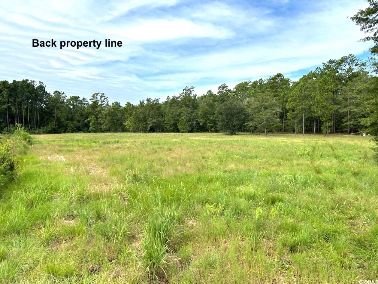3951 South Fraser Street Georgetown, SC 29440 - Photo 9 of 21 View of landscape