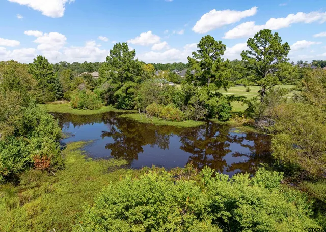 an aerial view of a residential houses covered in trees