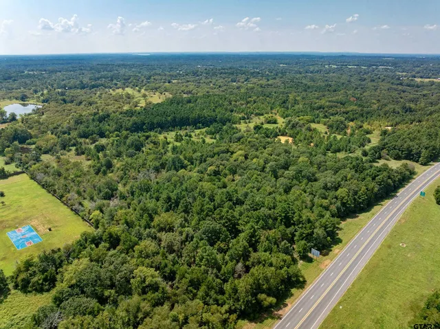 a view of a lush green field with lots of bushes