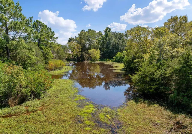 a view of a garden from a yard