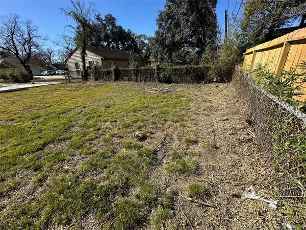 a view of a backyard with large trees