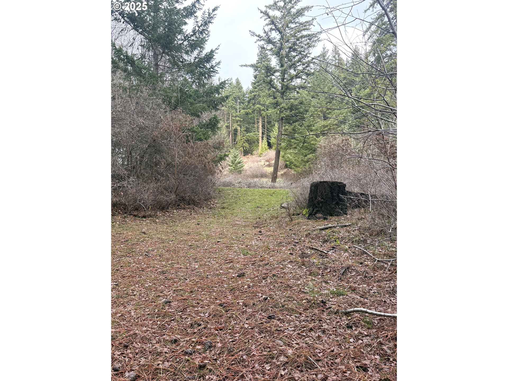 627 Canyon Road Lyle, WA 98635 - Photo 11 of 22